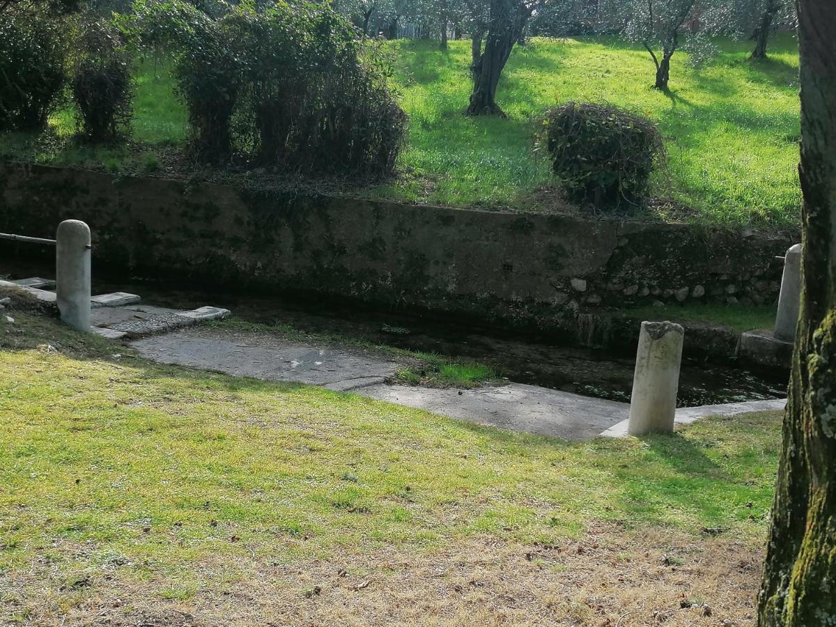 Bilocale Papavero, Magnolia O Girasole San Felice del Benaco Exterior foto